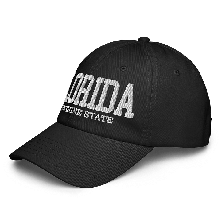 Illinois Land of Lincoln Dad Hat product image (6)