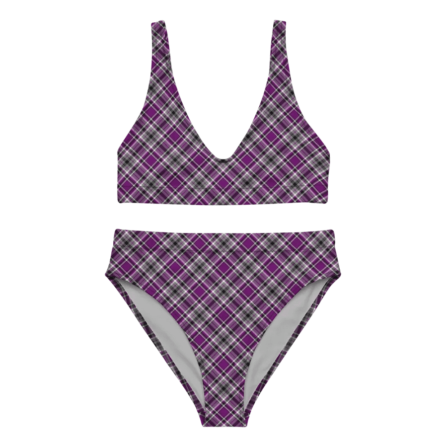 Purple, Gray, and Black Plaid Bikini product image (2)