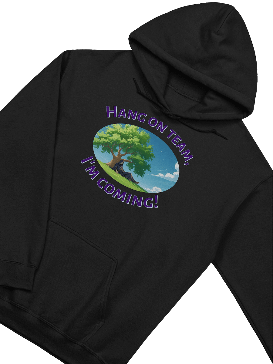 XE Hang on team, I'm coming! hoodie product image (3)