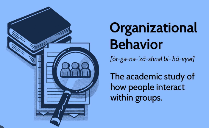 Organizational Behaviour Notes and Tips product image (1)