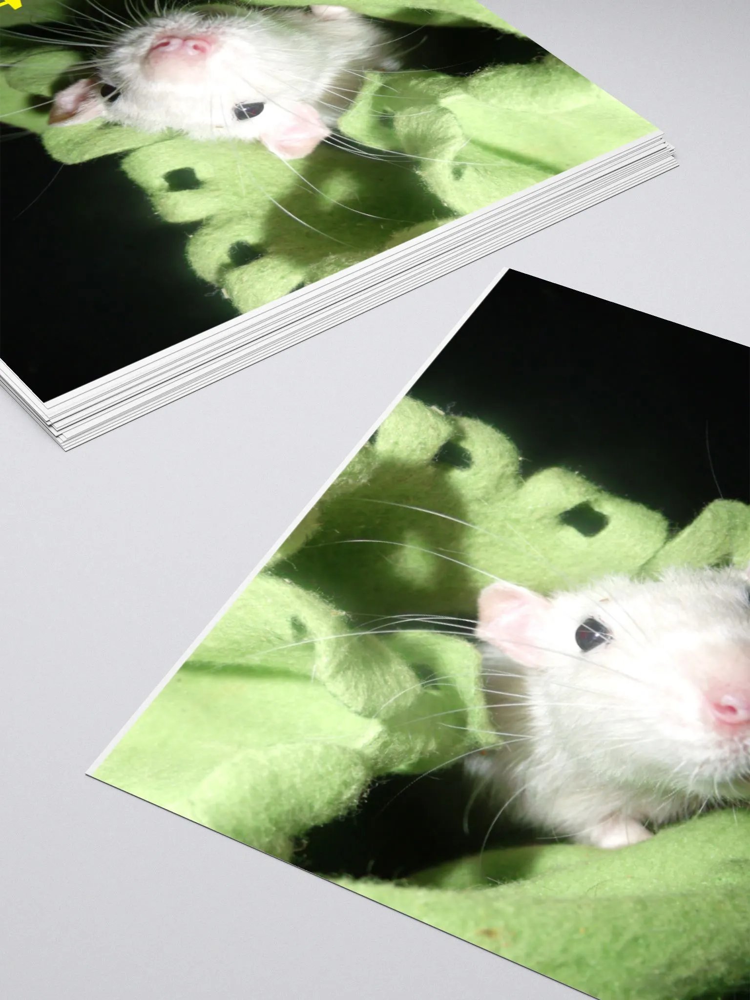 What? sticker product image (12)