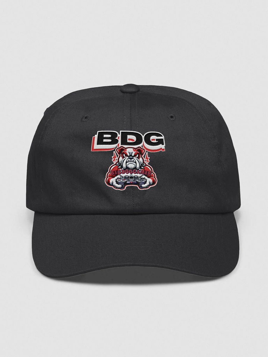 THE BASIC B1GDOG HAT product image (1)