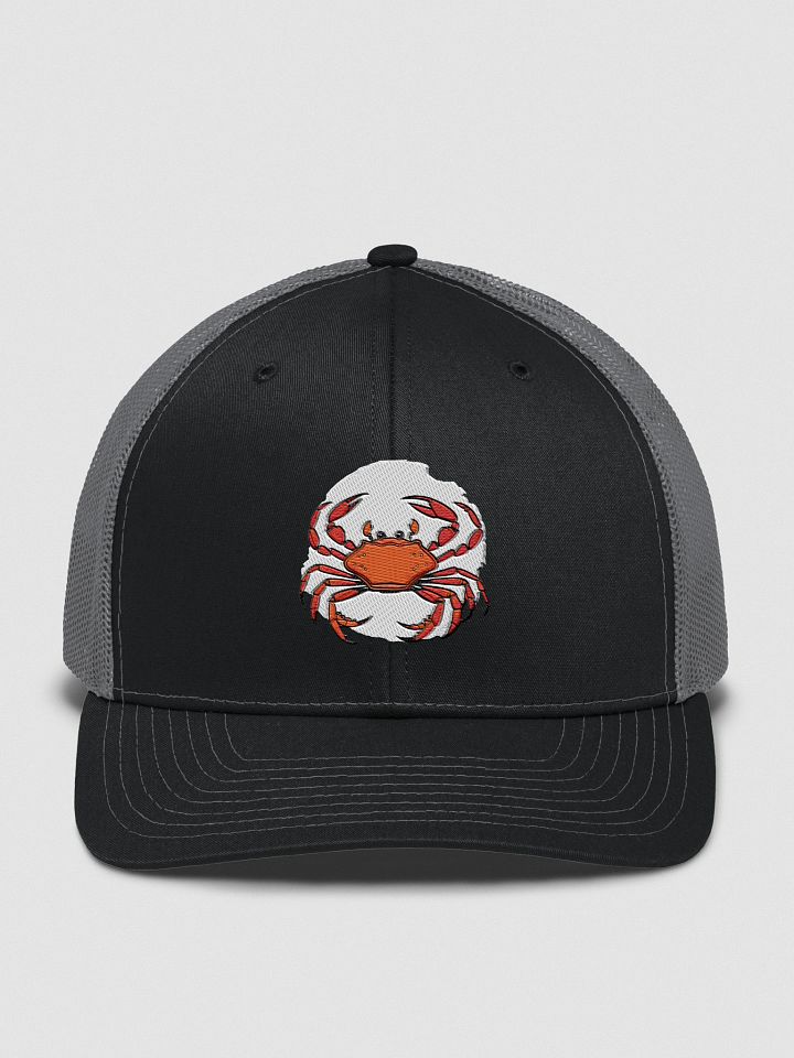 Crabby Snapback Hat product image (3)