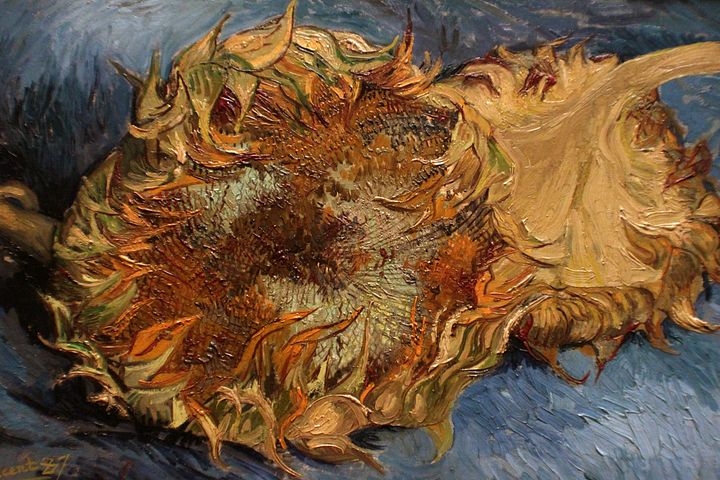 Van Gogh Wallpapers product image (2)