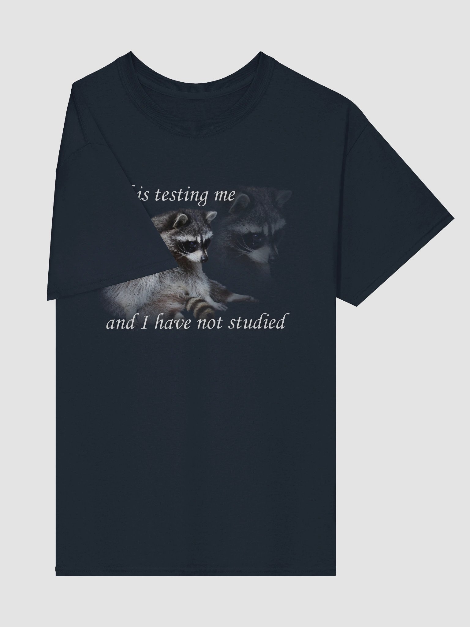 God is Testing Me Raccoon T-shirt product image (40)