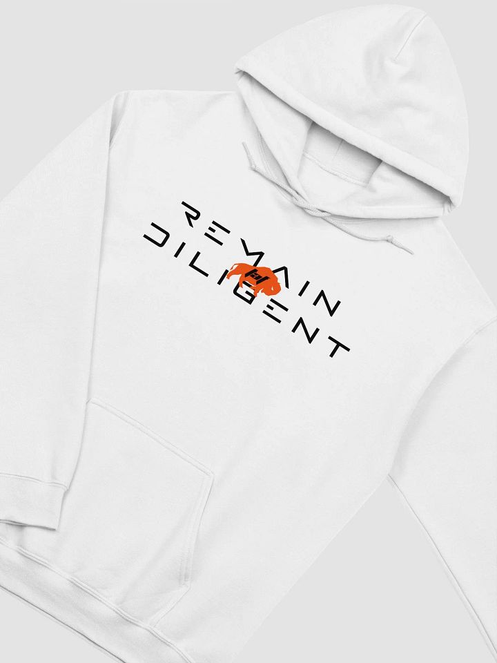 Remain Diligent Hoodie (Light colors) product image (17)