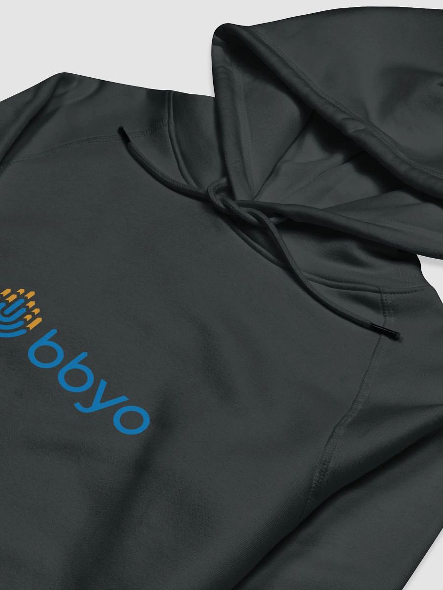BBYO Hoodie product image (3)
