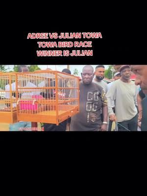 ADREE VS JULIAN TOWA TOWA BIRD RACE IN BERBICE WINNER IS JULIAN #birds #TOWATOWABIRDS #viraltiktok #trendingvideo #GOVIRAL #tiktokhighlights #birdcompetition #Towatowa #guyanabirds #FYPAGE 