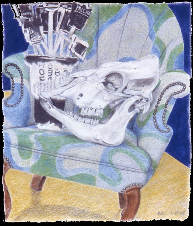 Still Lifes