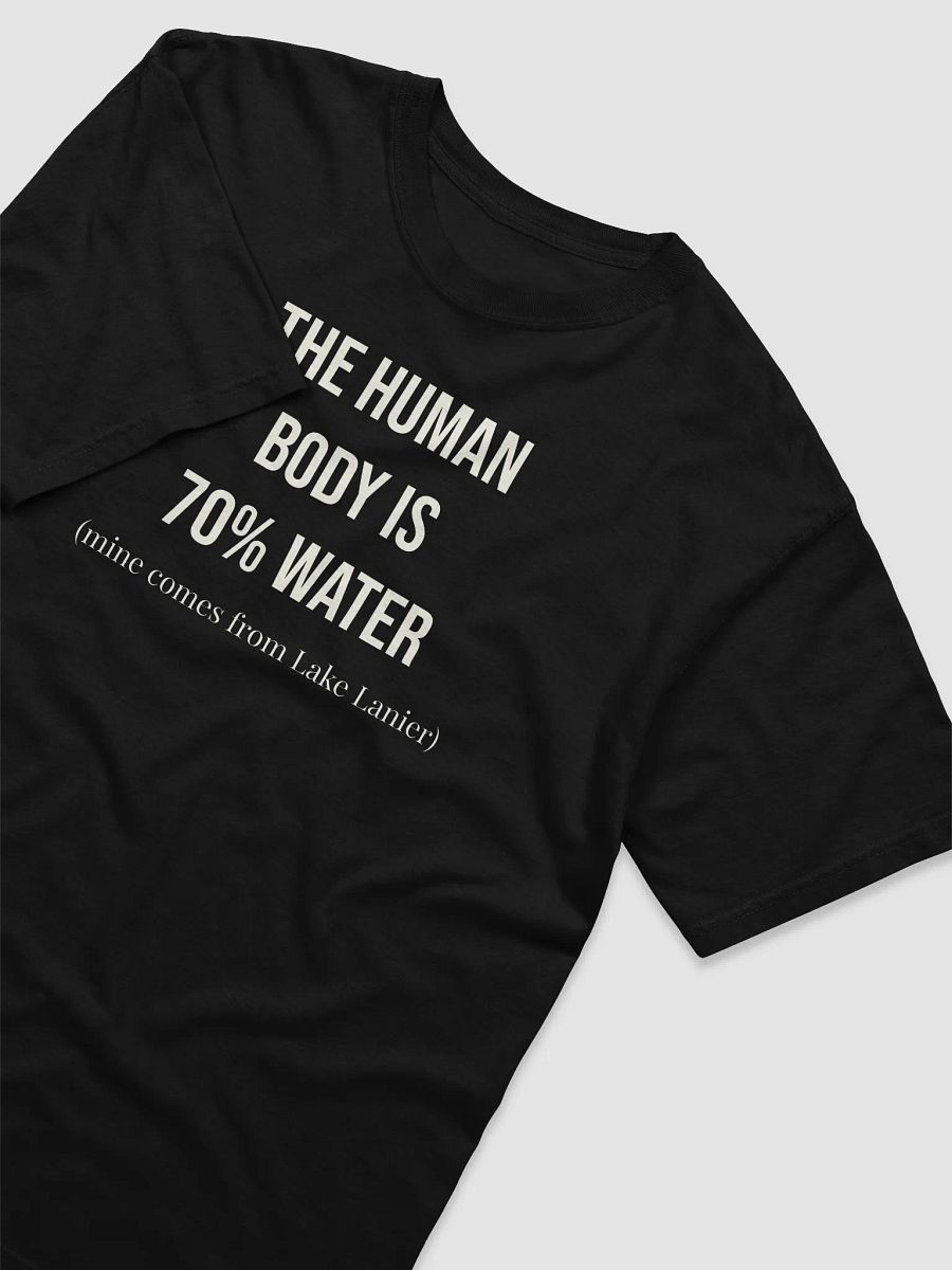 70% Lake Lanier Heavyweight Tee product image (34)