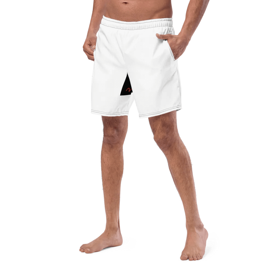Nr2 swim shorts product image (7)