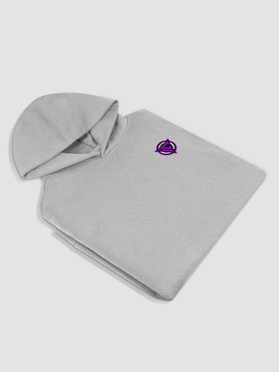 Iconic Unisex Premium Oversized Hoodie product image (12)