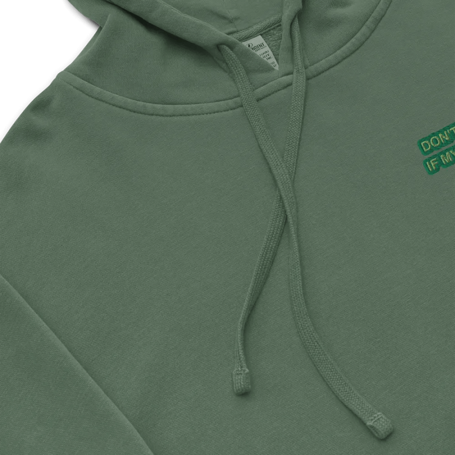 L.C. HEADPHONES ON (moss design) embroidered pigment hoodie product image (8)