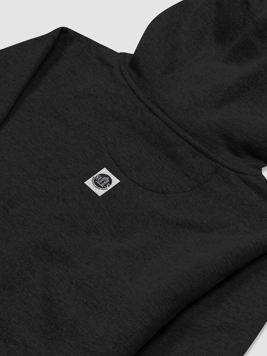 Too wild for the past. Too bold for the present - Hoodie product image (40)