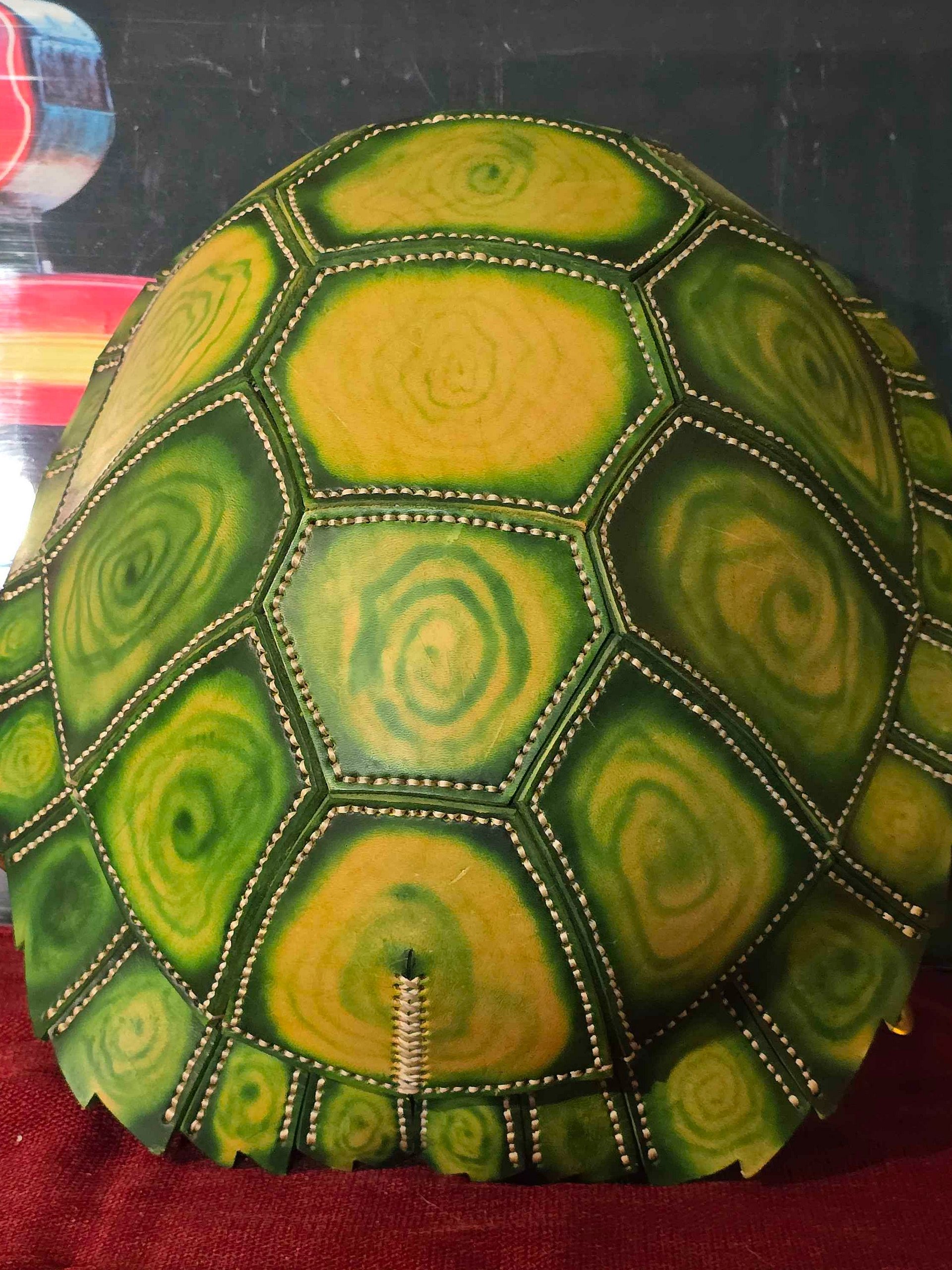 Turtle Shell Backpack product image (1)