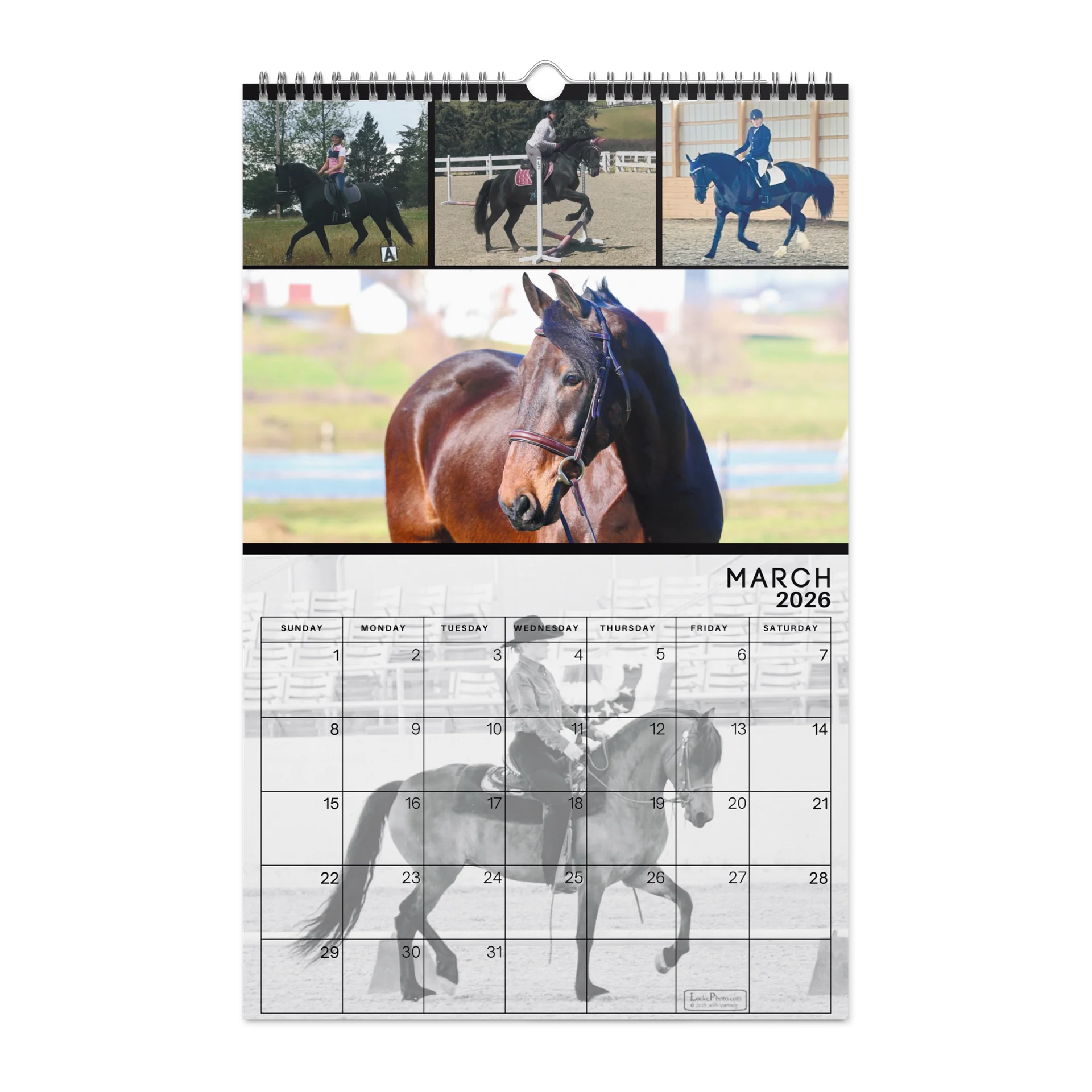 2026 Moriesian Horse Registry Calendar product image (9)