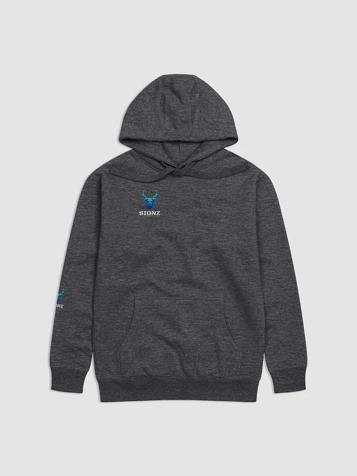Sionz Charcoal Hoodie product image (1)