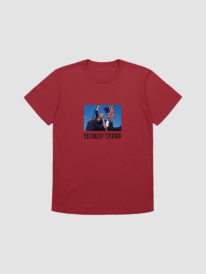 Trump Wins product image (1)