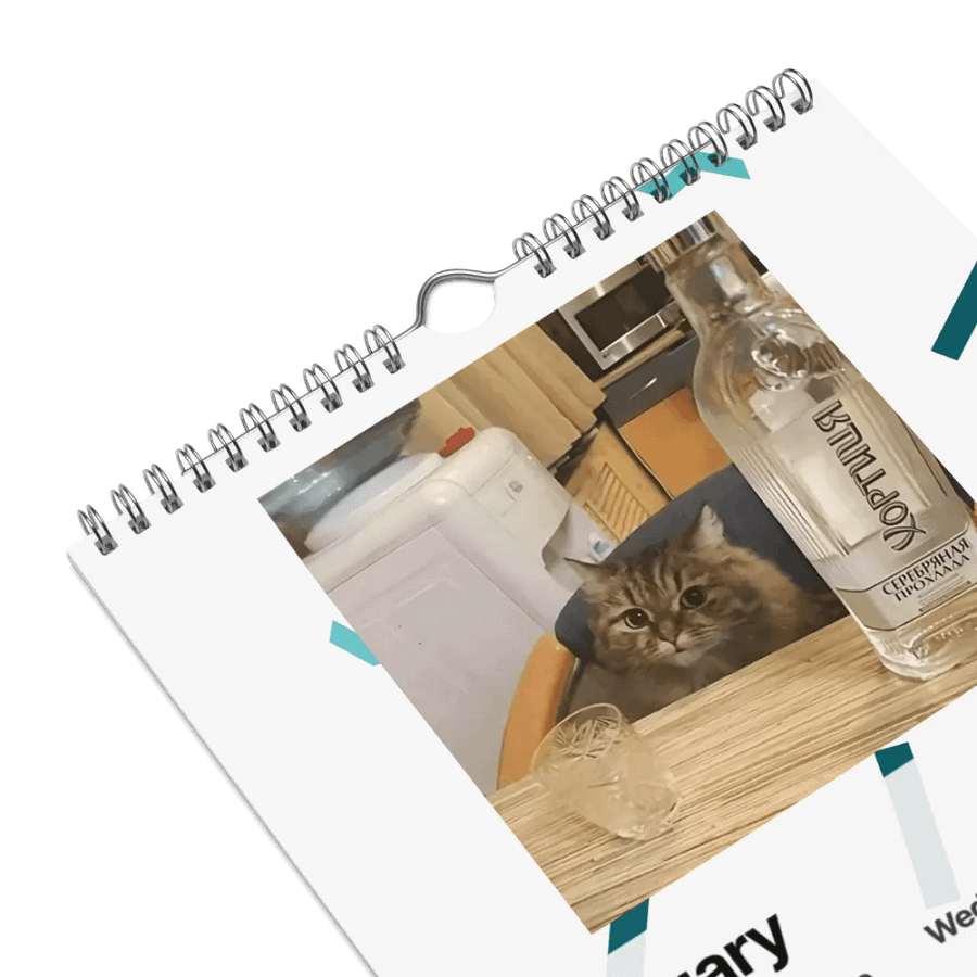 Wall Calendar (2024): Meme Cats product image (9)