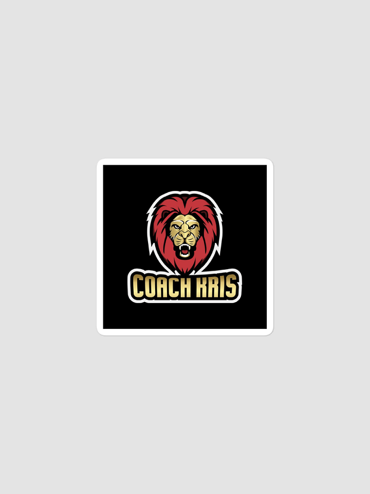 [CoachKris] Bubble-free stickers -2 product image (1)