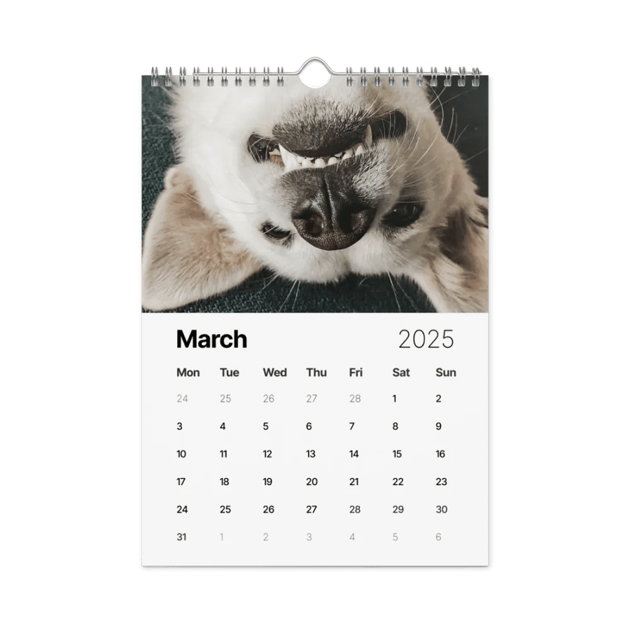 Eli's Favorite 2025 Calendar product image (9)