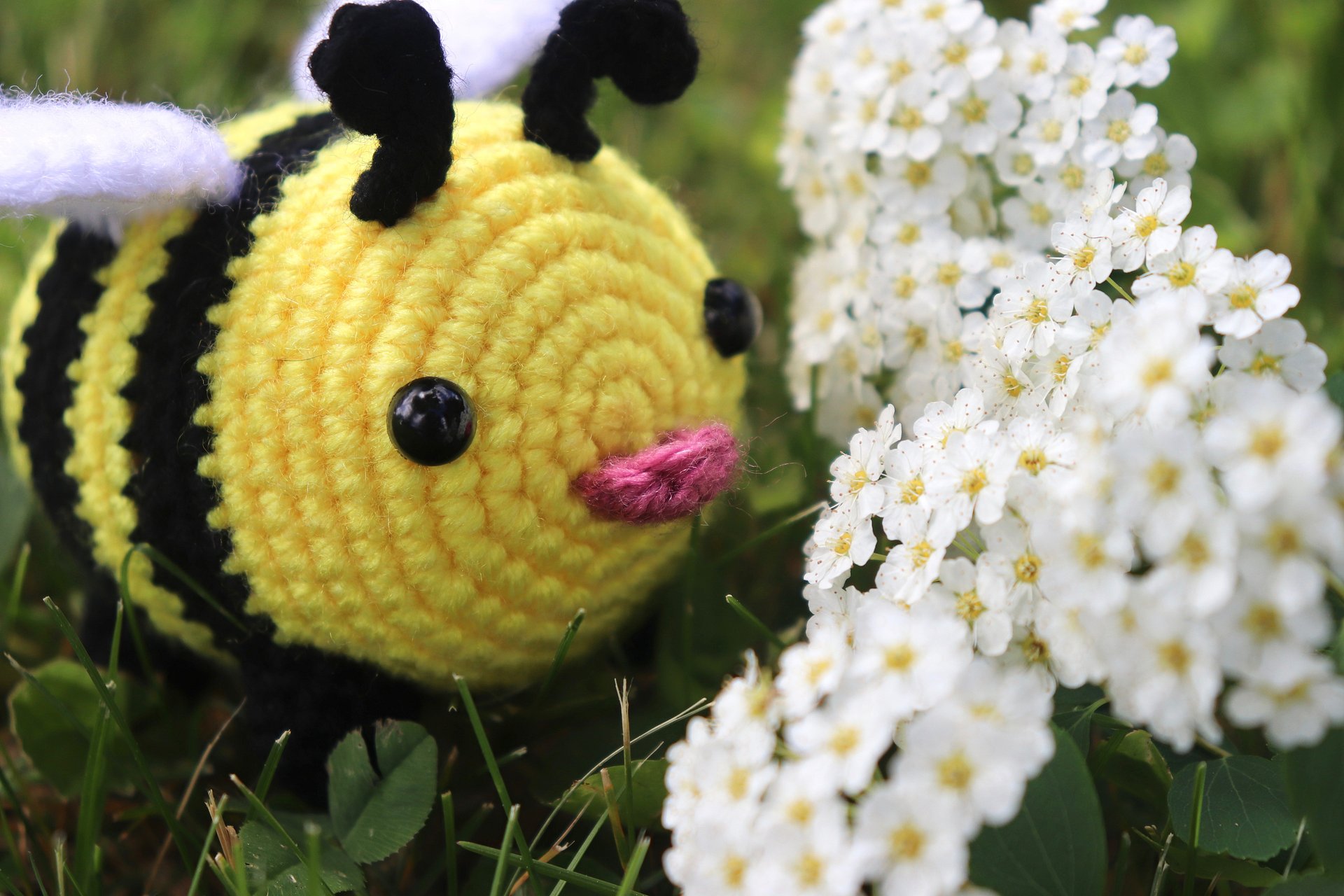 Bramble the Bumblebee PDF product image (3)