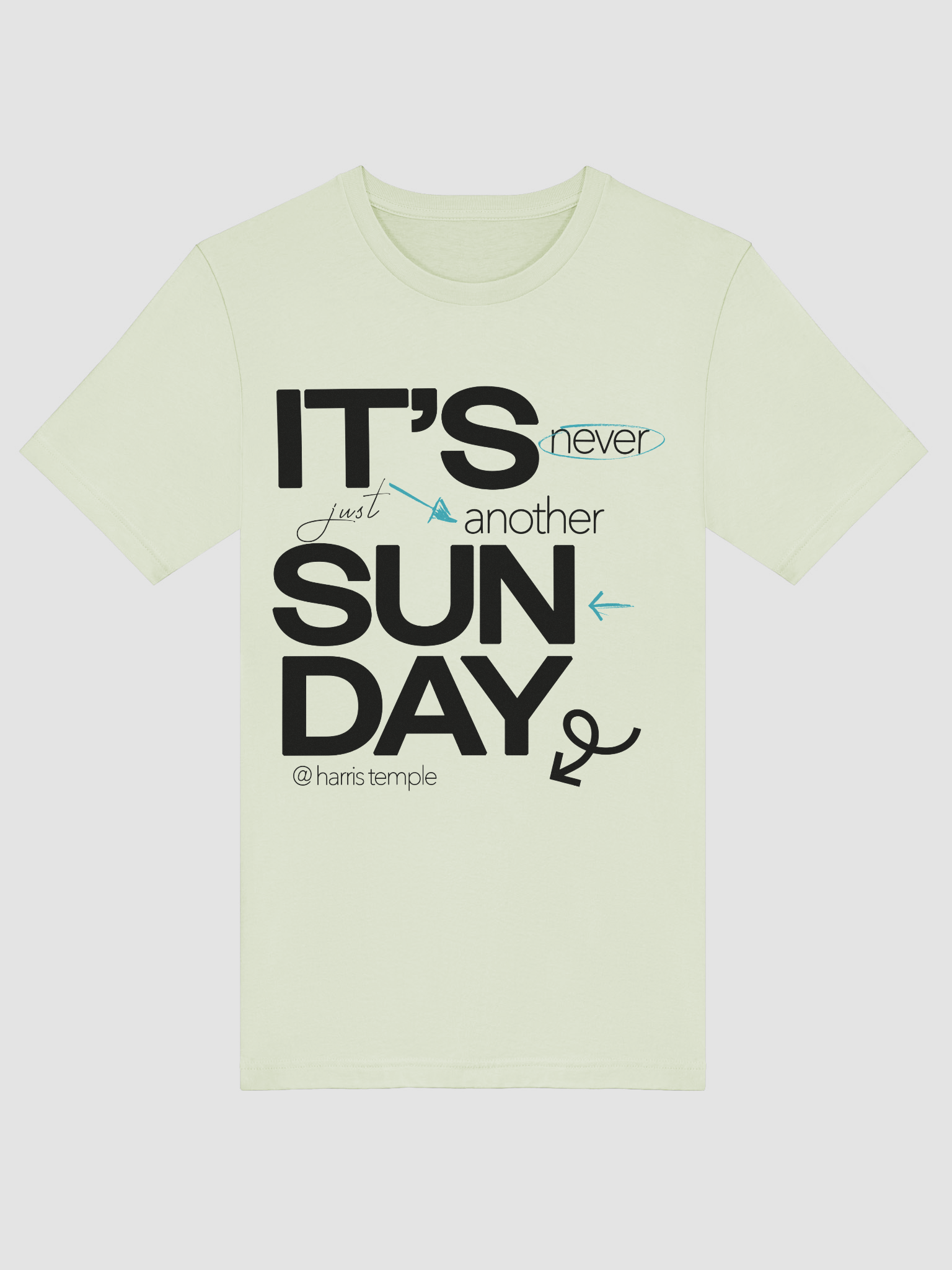 Elevate Your Style with Temple Merch Highlight T-Shirt product image (5)