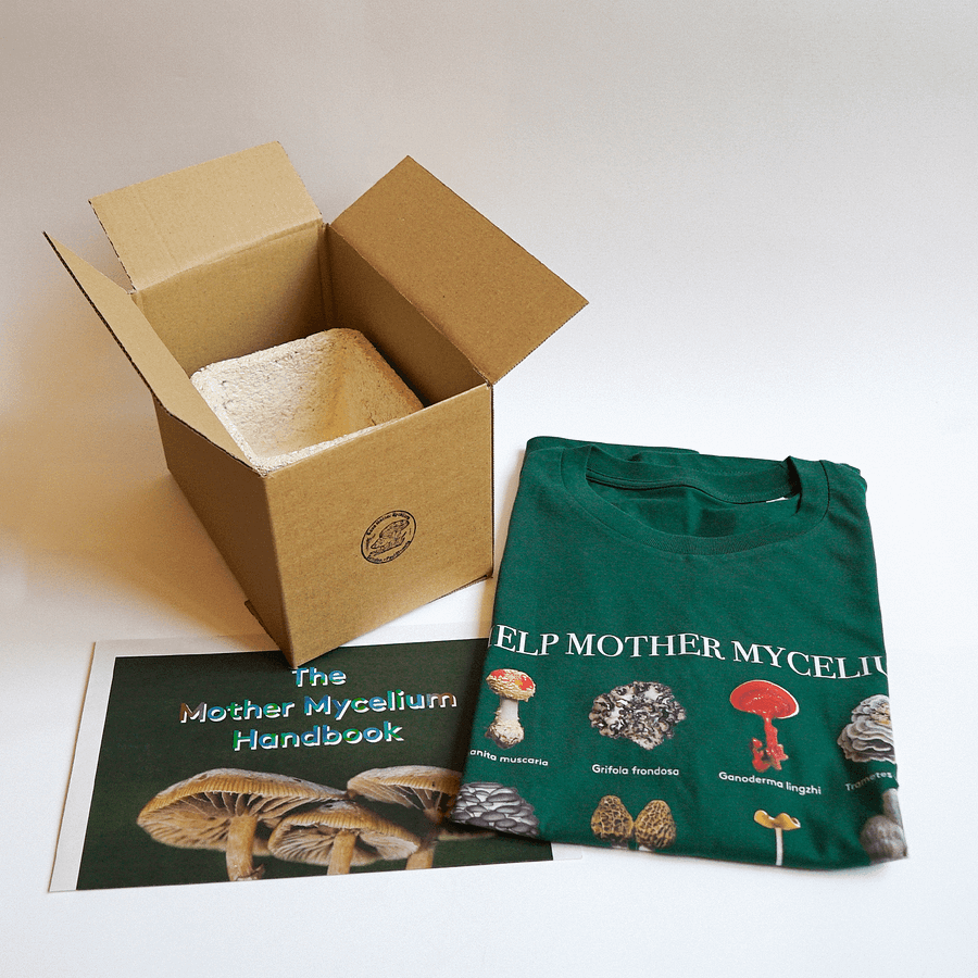 Mother Mycelium T-Shirt product image (3)