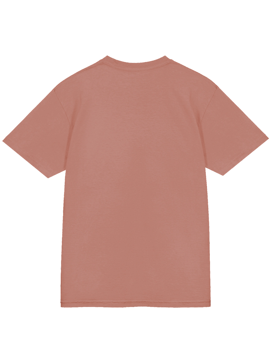 Lizardgrab Tee product image (44)