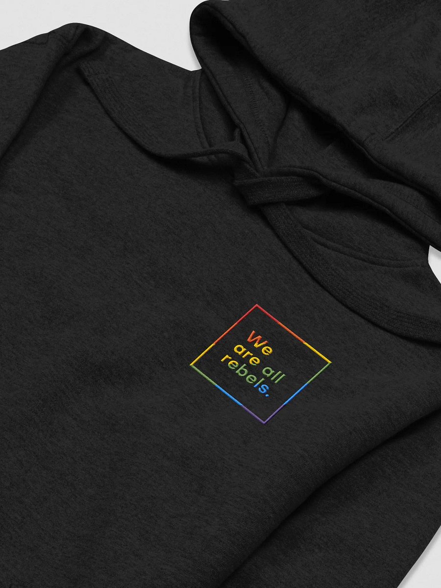 Pride Hoodie (Embroidered) product image (3)