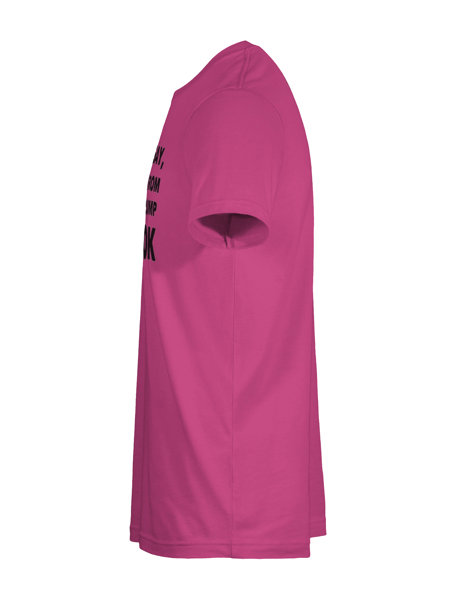 Not Gay $20K Tee Shirt product image (42)