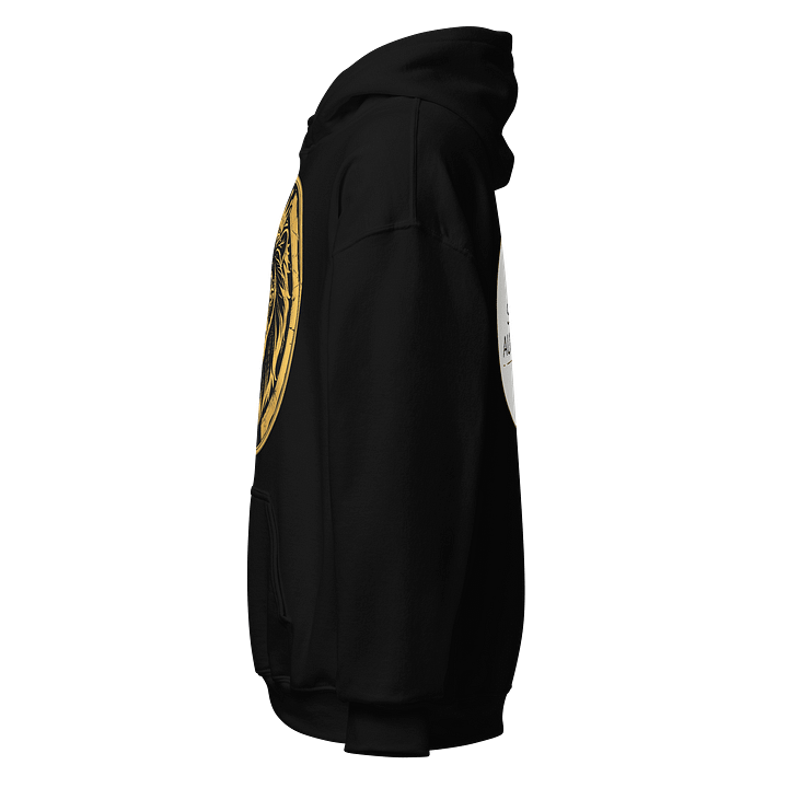 Quiet Roar Hoodie product image (5)