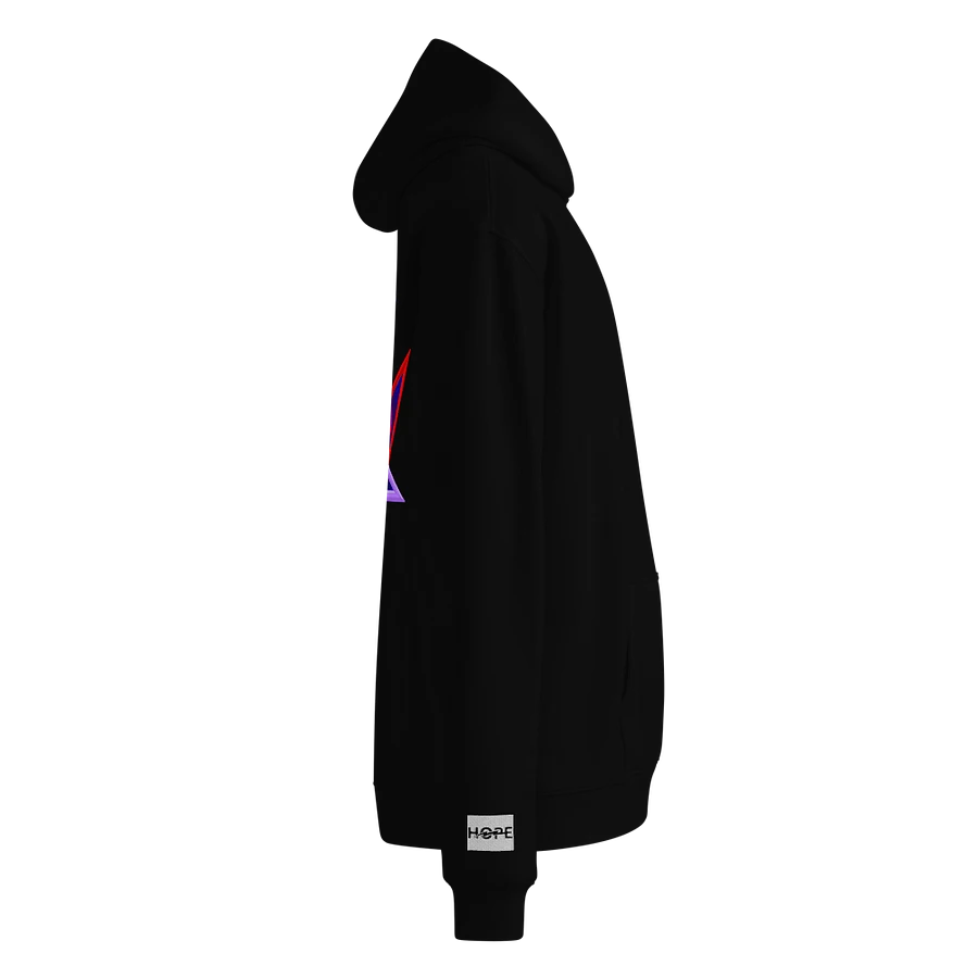 PassingFist Embroidered Hoodie product image (4)