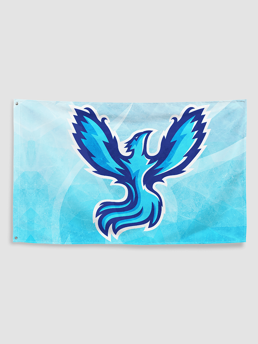 Flag of Hyou-Ou (Stylized) product image (1)