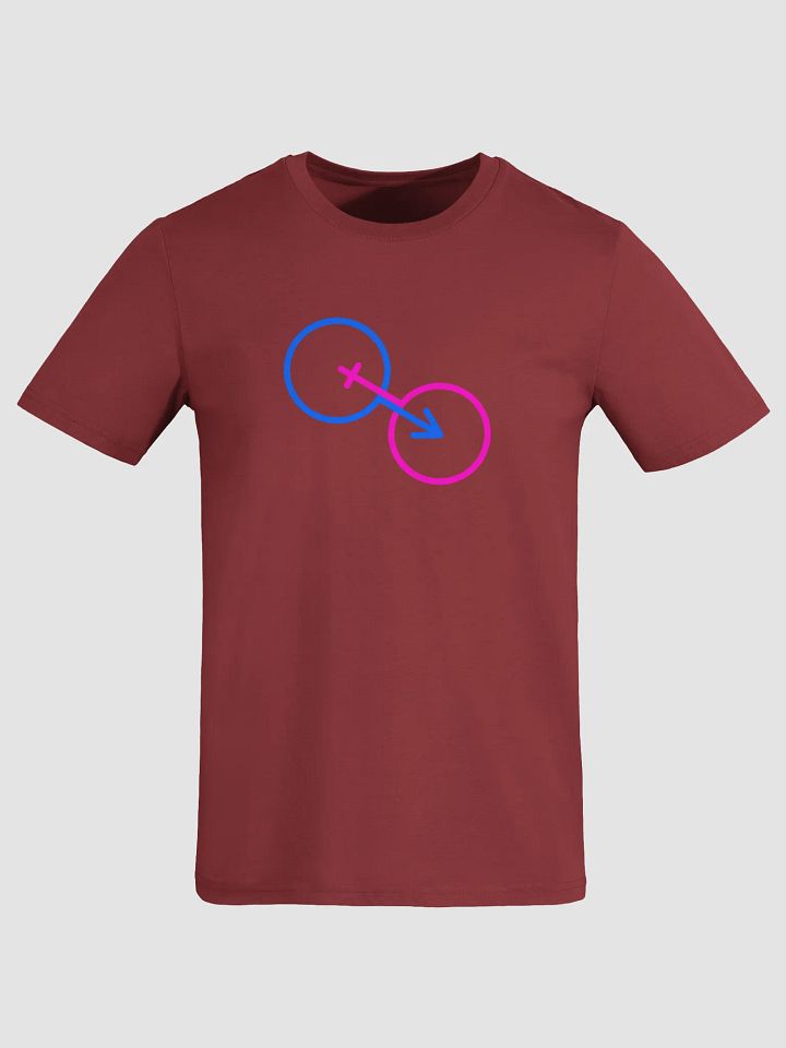 Traditional Gender Symbol Connection T-Shirt product image (1)