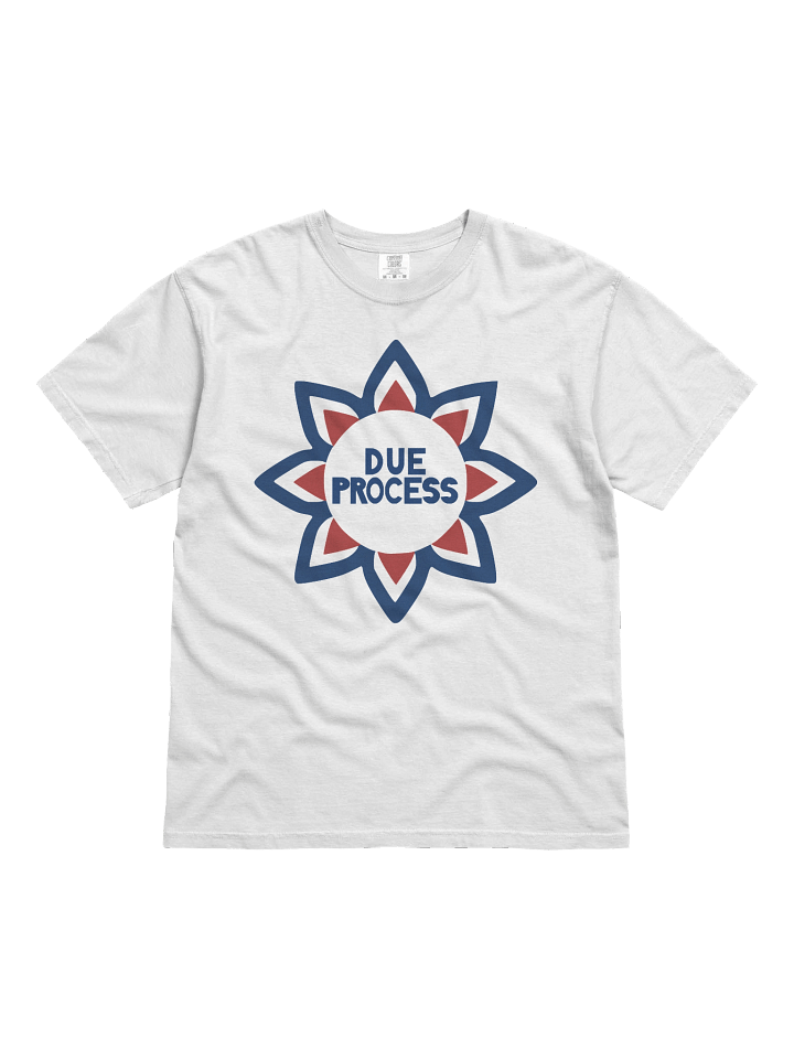 Due Process tee product image (1)