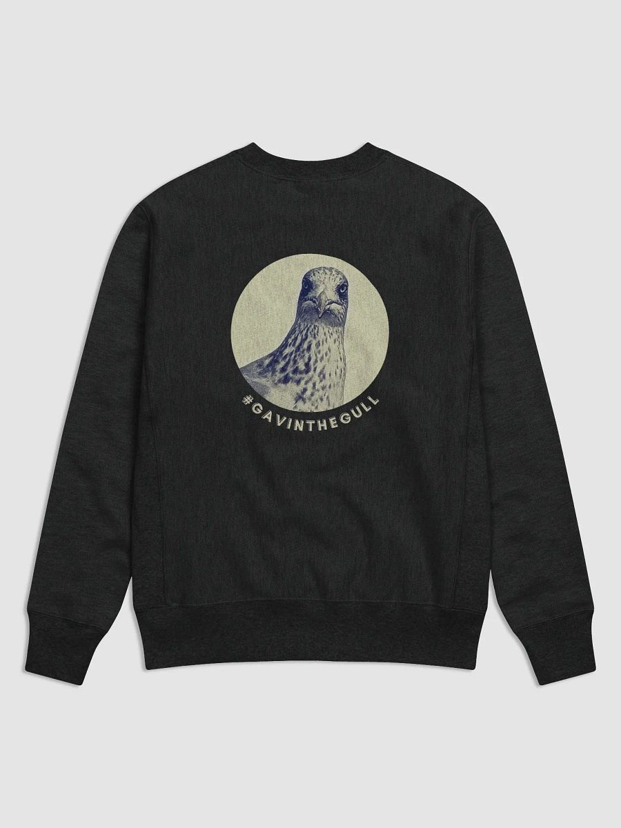 Gavin the Gull Cult Cotton Max Sweatshirt in Black product image (2)