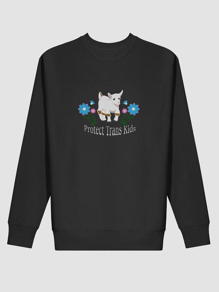 The GOAT product image (2)