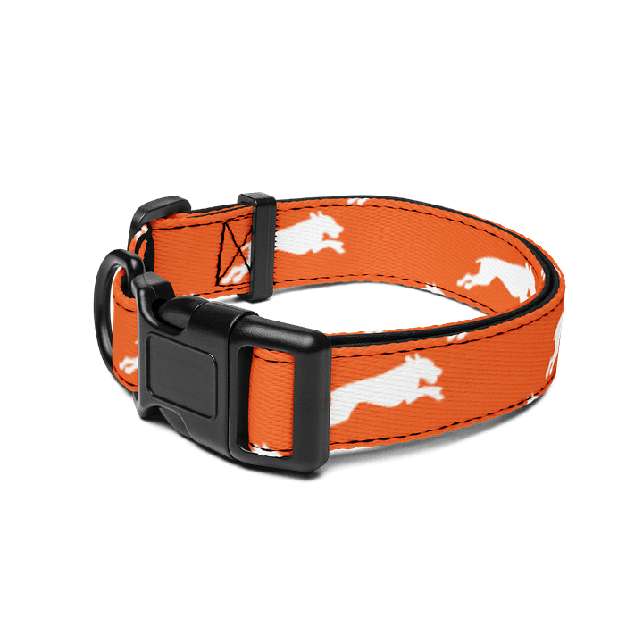 Blaze Orange Collar product image (2)