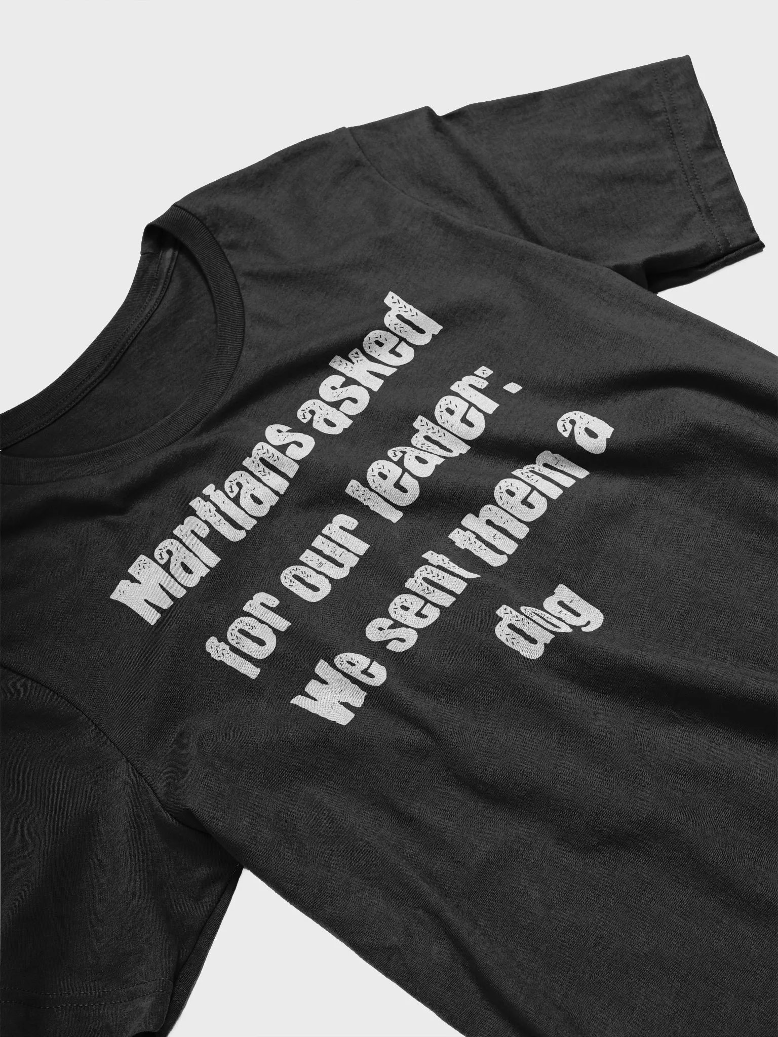 Martians asked for our leader - we sent them a dog product image (2)