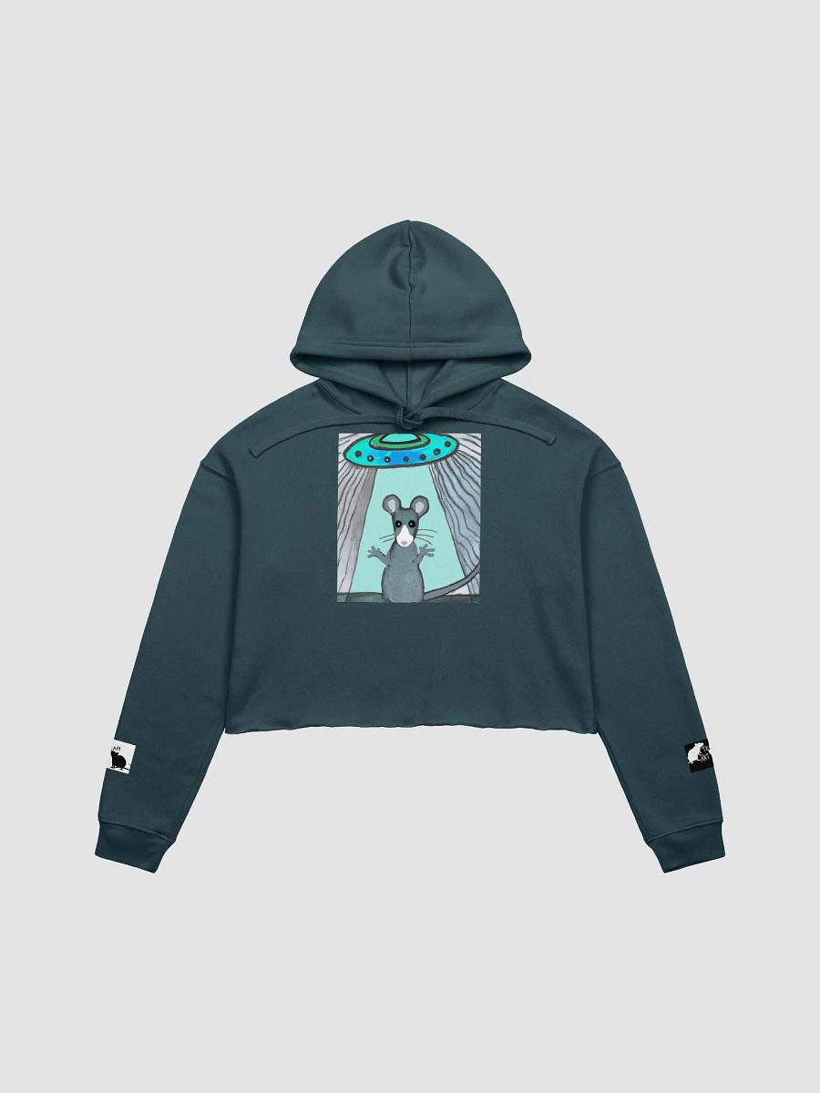 blue rat and UFO cropped hoody (branded) product image (4)