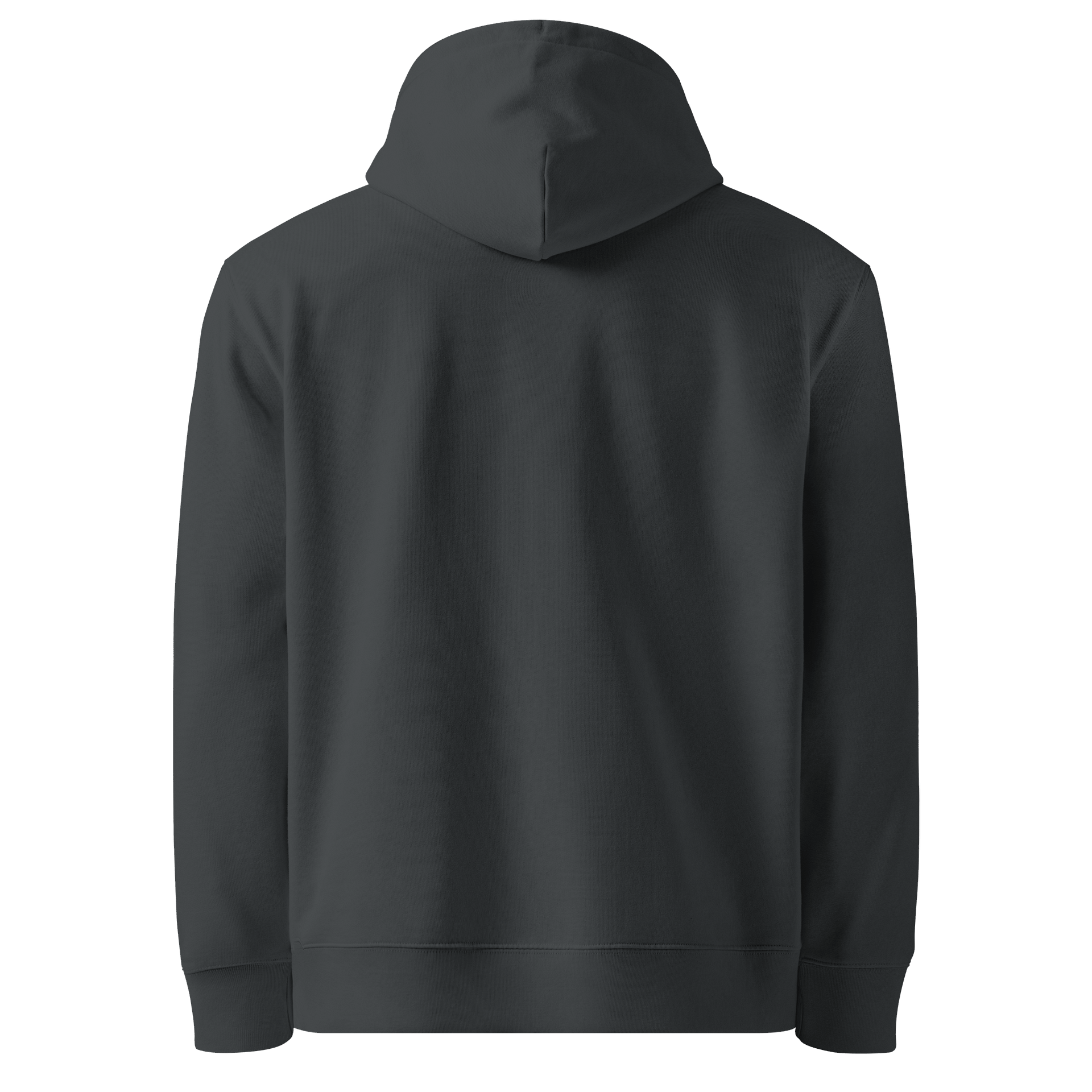 Moonlight Detective Organic Hoodie product image (2)