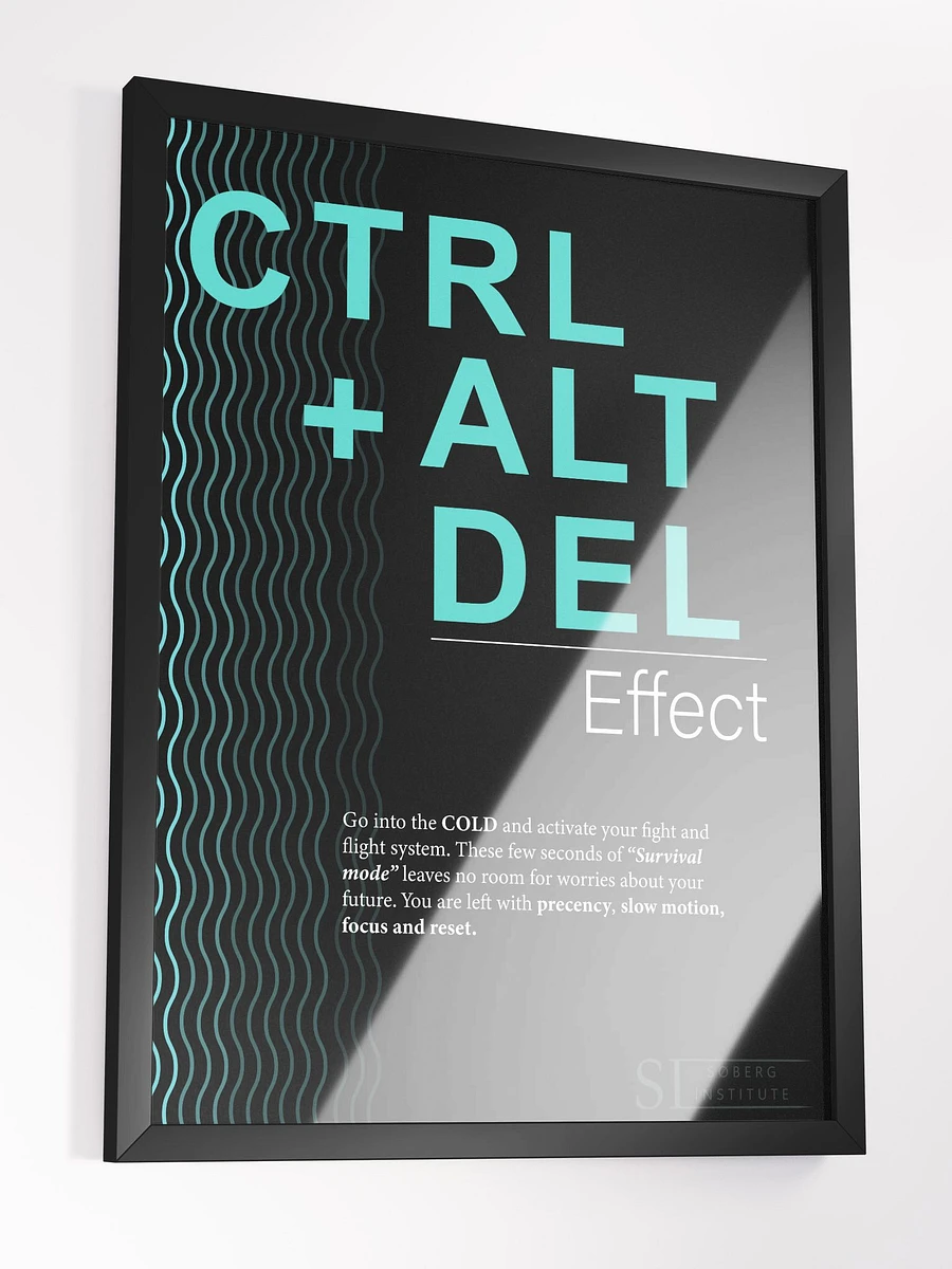 CTRL+ALT+DEL black product image (3)