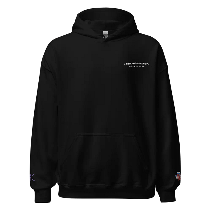 Embroidered Logos Hoodie product image (1)