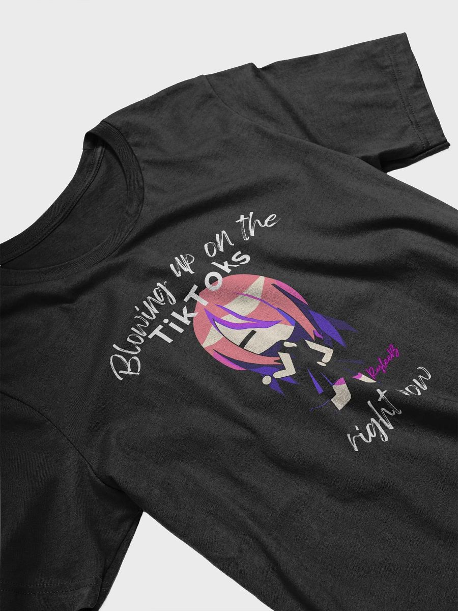 Influencer humor t-shirt - TikToKs by RyleeB product image (3)