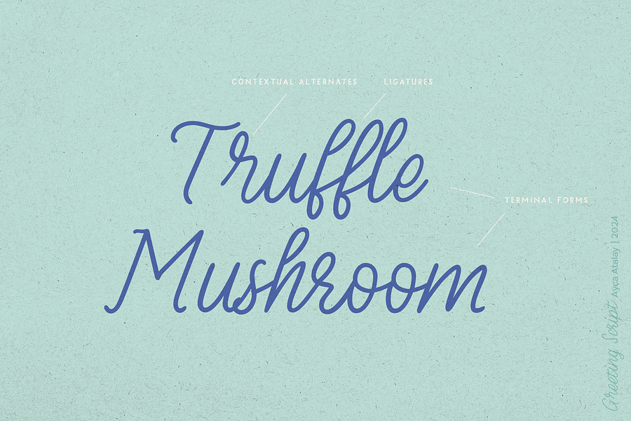 Greeting Script | A Hand Lettered Script Font product image (5)