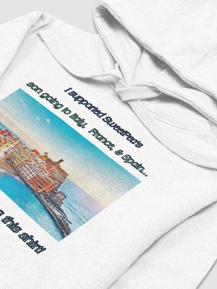 EuroTrip2026 Support Shirt product image (5)