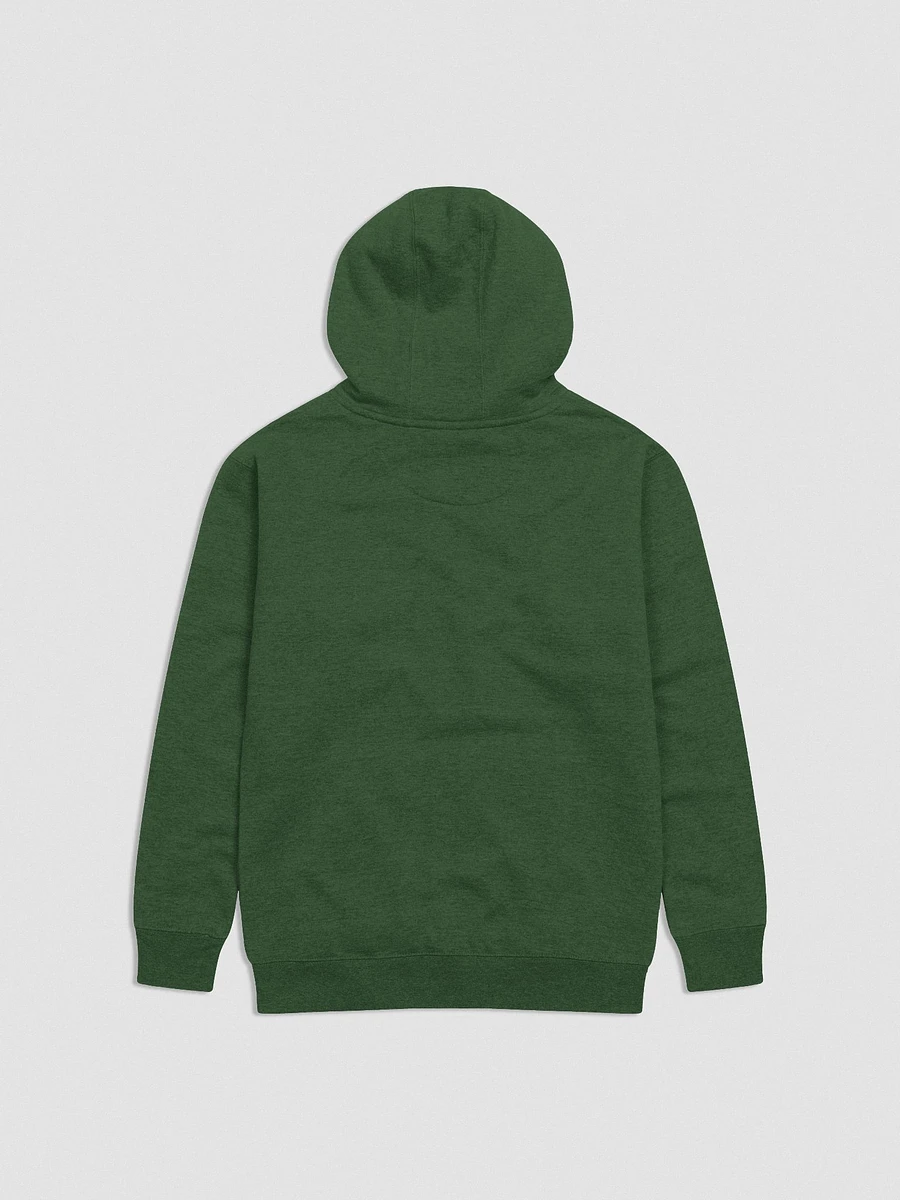Materialistic Embroidered Hoodie F&E1 product image (3)