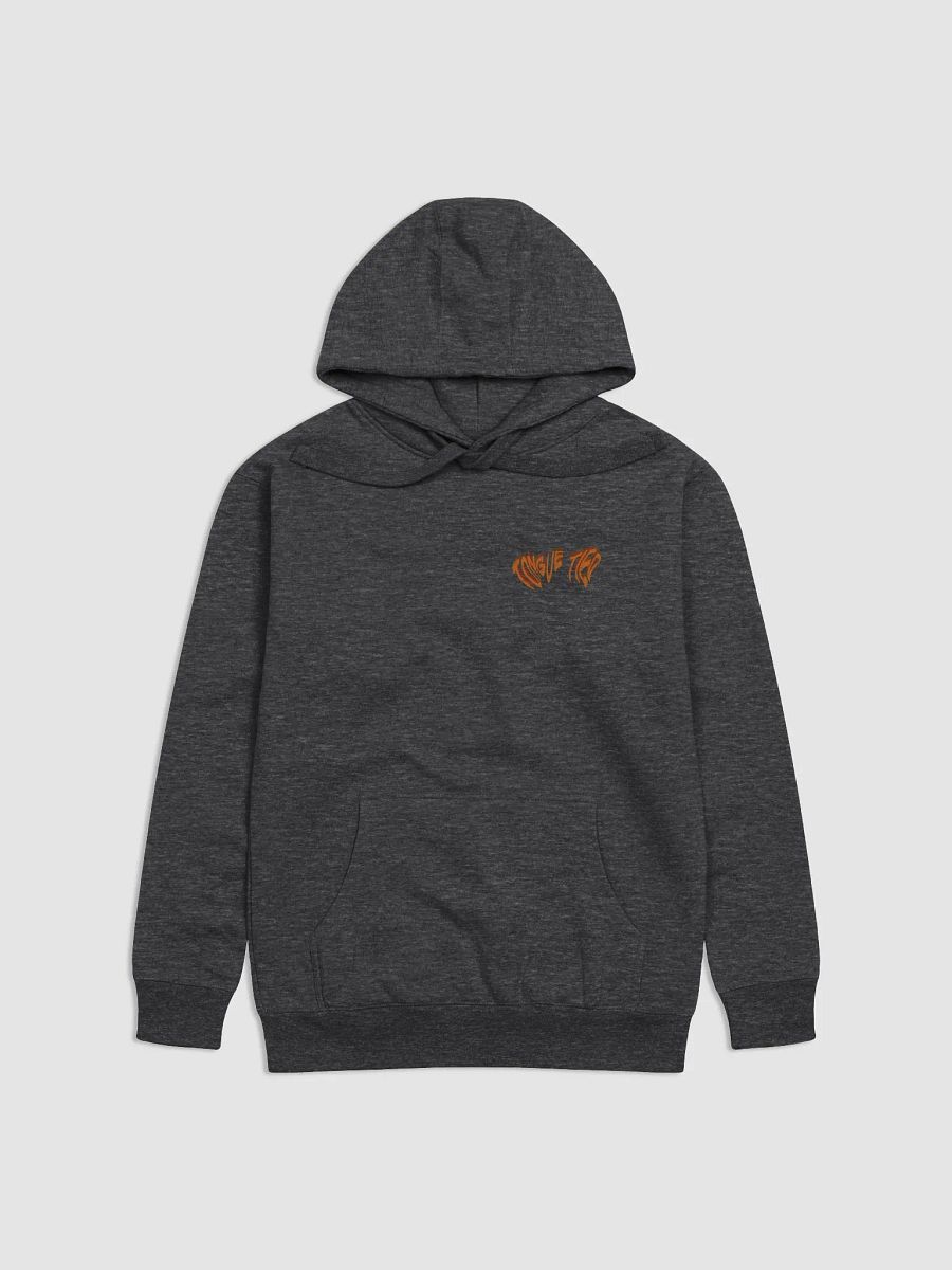 OVATION HOODIE product image (5)