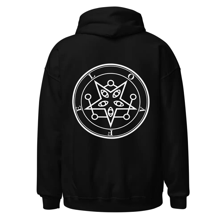 Embroidered Front Logo Hoodie product image (1)